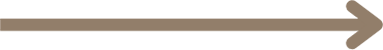Arrow Right Icon