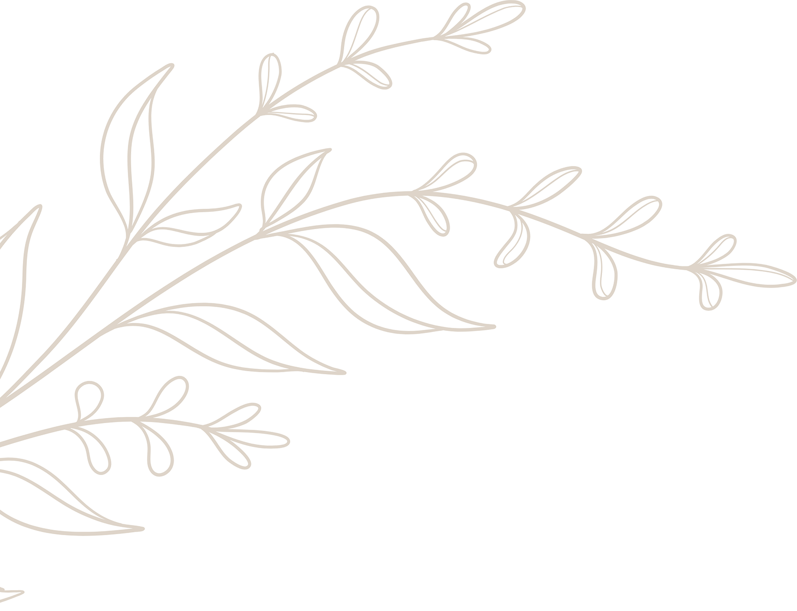 Illustration of Floral Filigree Illustration of Floral Filigree