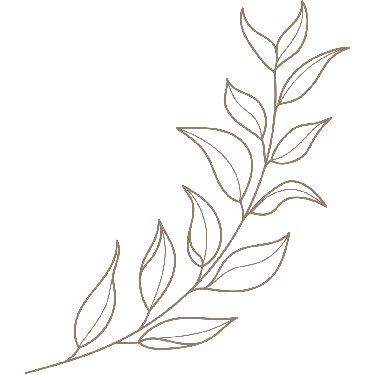 Branch Icon