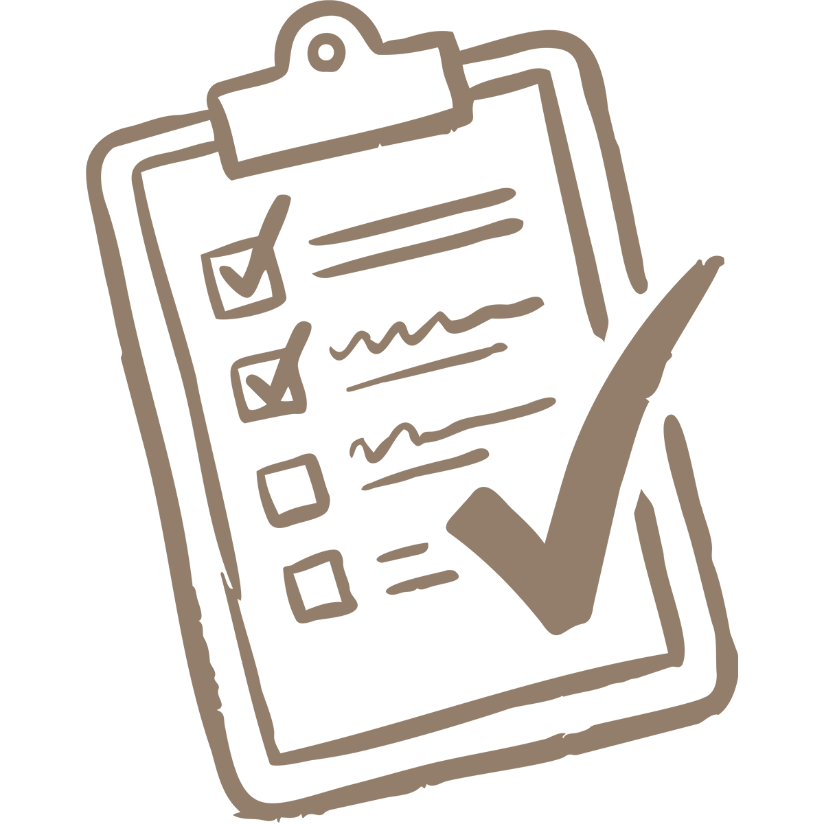 Checklist Icon
