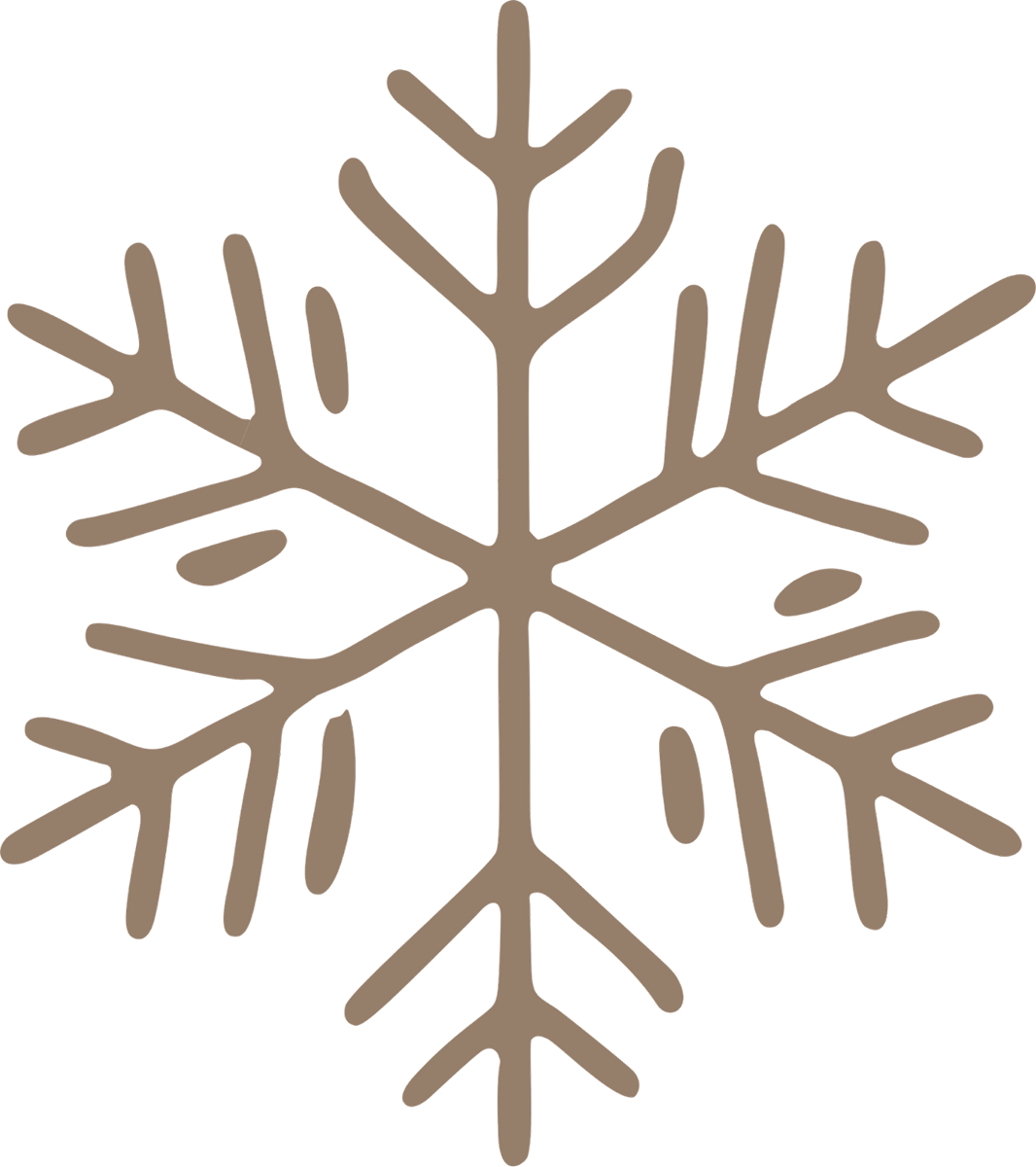 Snowflake Icon
